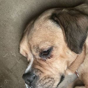 Meet your Posher, Teresa